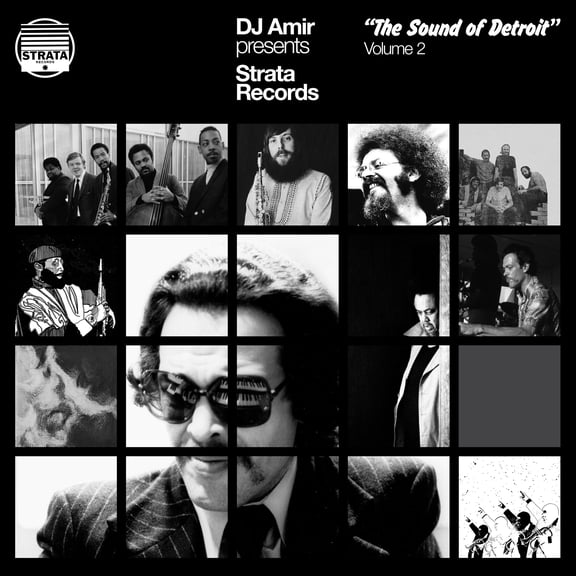 DJ Amir - Dj Amir Presents Strata Records: The Sound Of Detroit Vol. 2 - Music & Performance - Vinyl