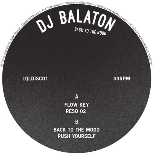 DJ Balaton - Back To The Mood - Music & Performance - Vinyl