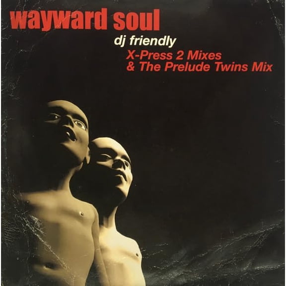 Wayward Soul DJ Friendly Mixes (Vinyl Record)