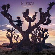 DJ Koze - Knock Knock - Music & Performance - CD