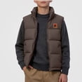 thumbnail image 1 of DJDLJWCJ Boys Puffer Down Vest Stand Collar Thickened Warm Winter Quilted Sleeveless Jackets Color Blocked Full Zipper Vest Brown Size 3T, 1 of 7