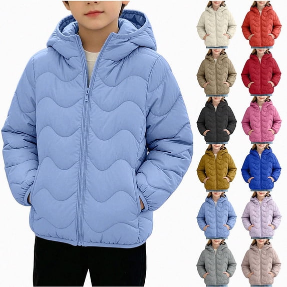 DJDLJWCJ Boys Quilted Jacket Thicken Warm Long Sleeve Full Zipper Puffer Jacket Comforty Thermal Down Coat with Hooded Blue Size 3T