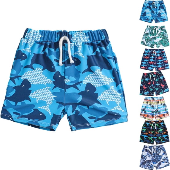 DJDLJWCJ Boys Summer Shorts Elastic Waist Quick Dry Loose Fit Casual Shorts for Outdoor Sports Stretch Athletic Shorts, Multicolor 2 T