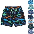 thumbnail image 1 of DJDLJWCJ Boys Summer Shorts Elastic Waist Quick Dry Loose Fit Casual Shorts for Outdoor Sports Stretch Athletic Shorts, Multicolor 3 T, 1 of 9
