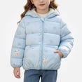 thumbnail image 1 of DJDLJWCJ Girls Bear Ears Jacket Cute Printed Puffer Coat Zip Up Winter Warm Jacket with Hood Light Blue Size 3T, 1 of 9