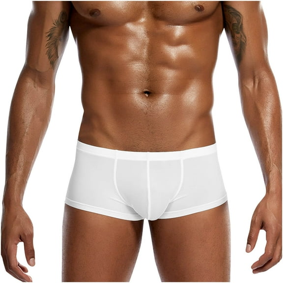 DJDLJWCJ Men's Underwear Boxer Briefs, Ice Silk Thin Mens Regular Underwear Boxer Briefs Soft Low Rise Underpant White XL