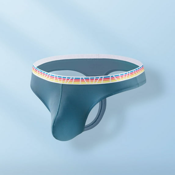 DJDLJWCJ Mens Briefs Underwear Low Waist Soft Thin Underpants Blue L