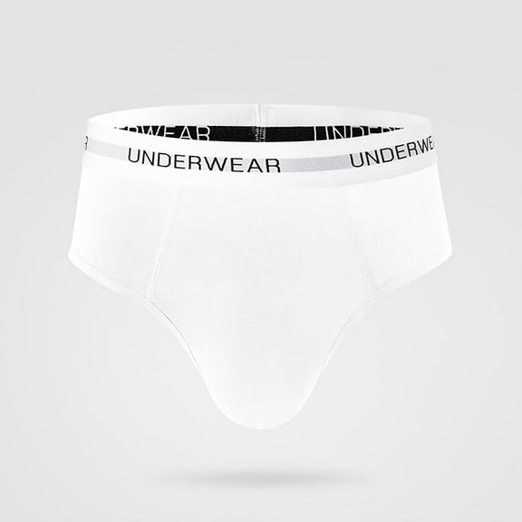 DJDLJWCJ Mens Briefs Underwear Plus Size Cotton Breathable Soft Stretch Solid Briefs Underpant White L