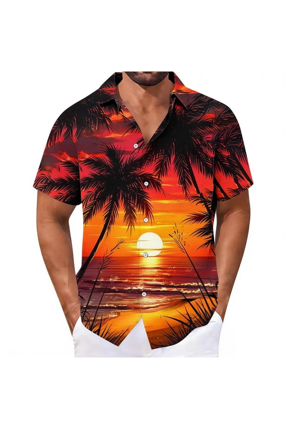 Mens Button Down T Shirts, Floral Print Hawaiian Shirts Short Sleeve polo Shirts for Men Summer Beach Shirts Multicolor XL