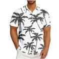 thumbnail image 1 of DJDLJWCJ Mens Hawaiian Shirt Relaxed Fit Summer Beach Open Front Vacation Short Sleeve Button Up Summer Tee White XL, 1 of 5