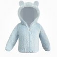 thumbnail image 1 of DJDLJWCJ Toddler Baby Boys Hooded Jacket Fleece Lined Warm Jacket Full Zipper Winter Coat Sky Blue Size 12-18M, 1 of 2
