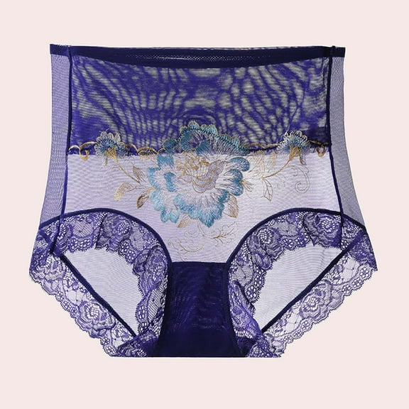 DJDLJWCJ Underwear for Women Fashion High Waist Lace Hollow Out Mesh Soft Comfortable Ladies Panties, Women’s Plus Underpant Blue M