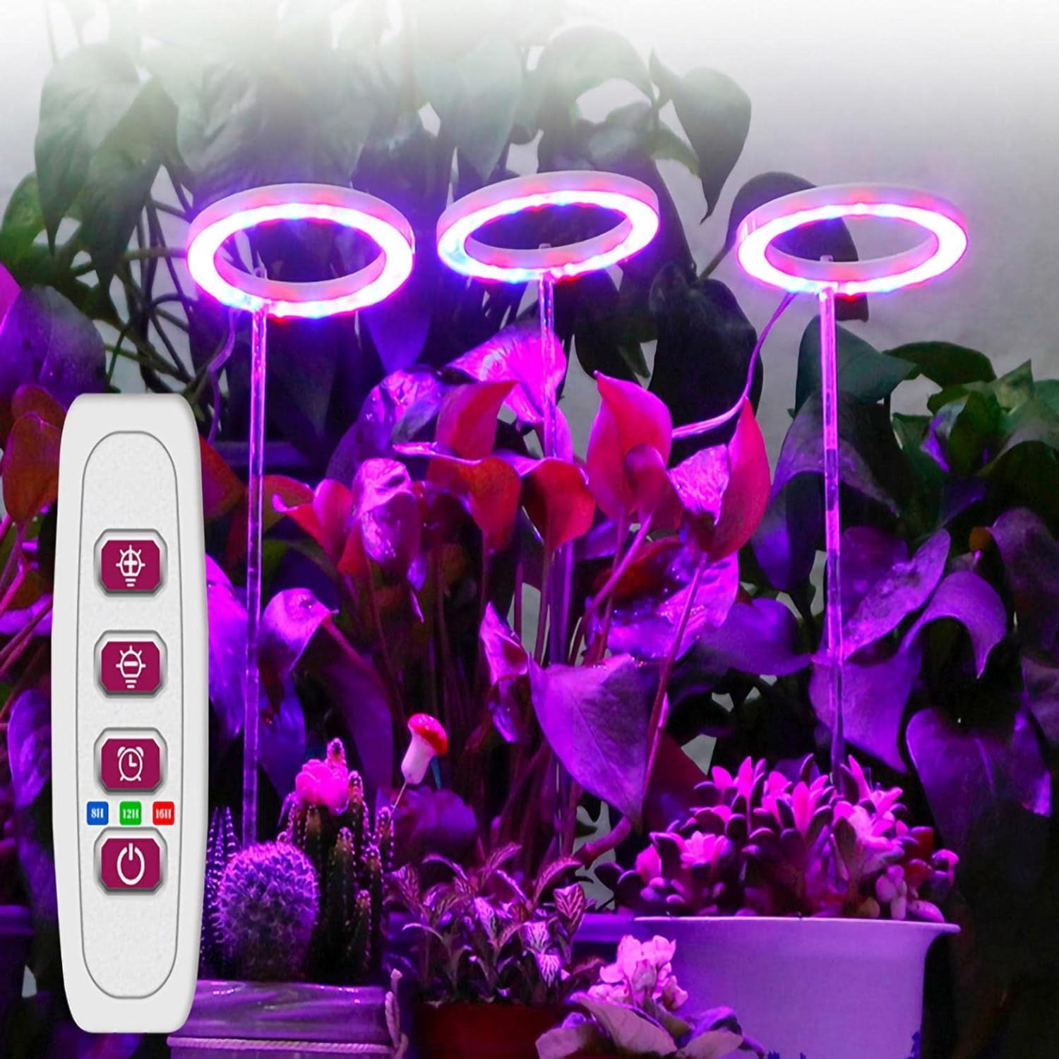 DJH-Grow Lights for Indoor Plants, USB Powered LED Plant Light for Indoor Plants, with 5 Dimmable Levels, 8/12/16H On/Off Timer, Halo Light for Small Potted Plants 1pack (Sunlight)-1