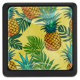 DJROW Cartoon Pineapple 3PCS Drawer Pulls with Screws Decorative Square