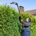 thumbnail image 1 of DJZ 21V Cordless Hedge Trimmer, 2-in-1 Hedge Trimmer,Multi-Angle Adjustable Cordless Shrub Trimmer Electric Grass Shear with Extension Pole,Battery and Charger Included (Black), 1 of 12