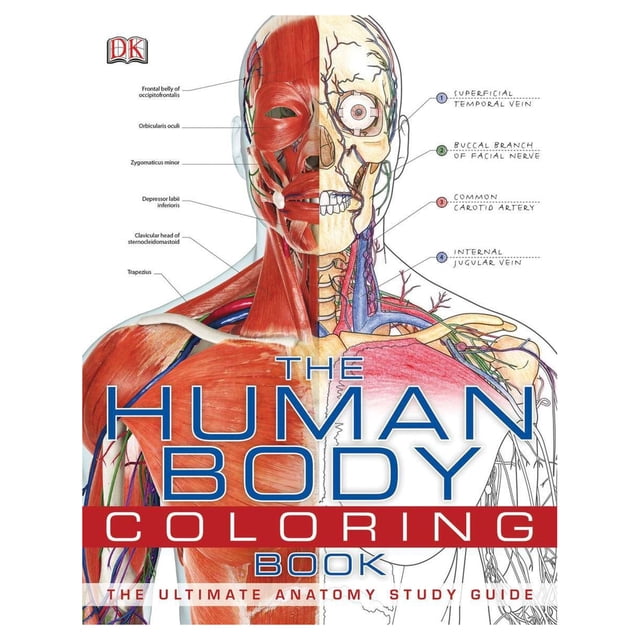 DK Human Body Guides: The Human Body Coloring Book : The Ultimate ...