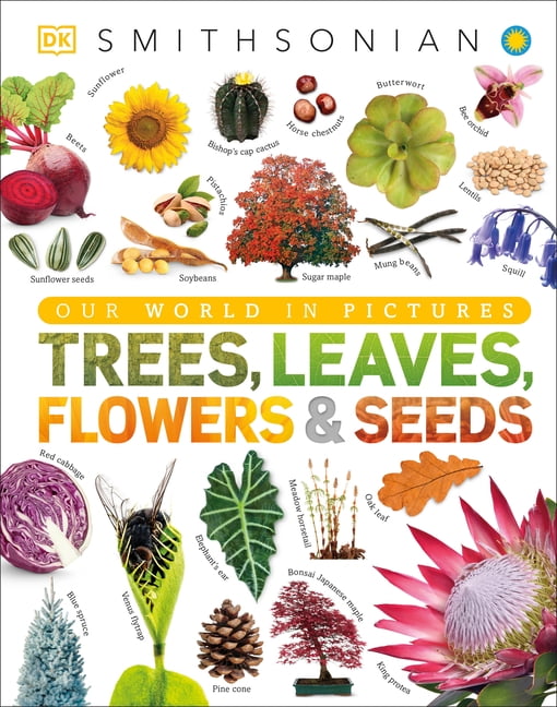 DK Our World in Pictures Trees, Leaves, Flowers & Seeds: A Visual