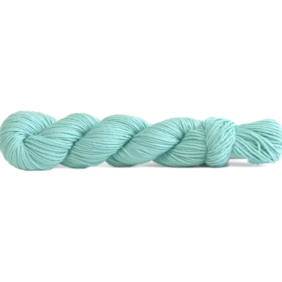 DK Soft Yarn Hank for Knitting, Crocheting, and Crafts, Superwash Merino Wool, , and Nylon, 117 Yards, #009 - Aqua Mint
