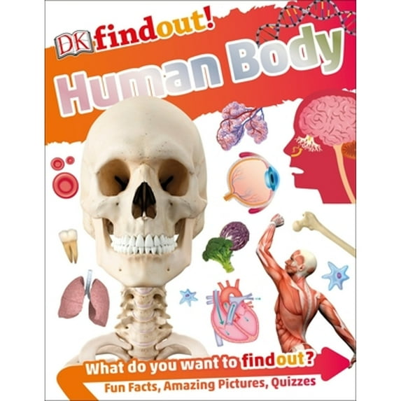 Pre-Owned Dkfindout! Human Body (Paperback) 1465463089 9781465463081