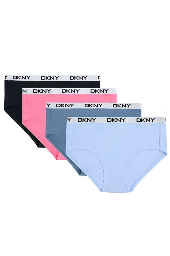 Women's 4-Pack Microfiber Hipster (Fashion Pack, XXL)