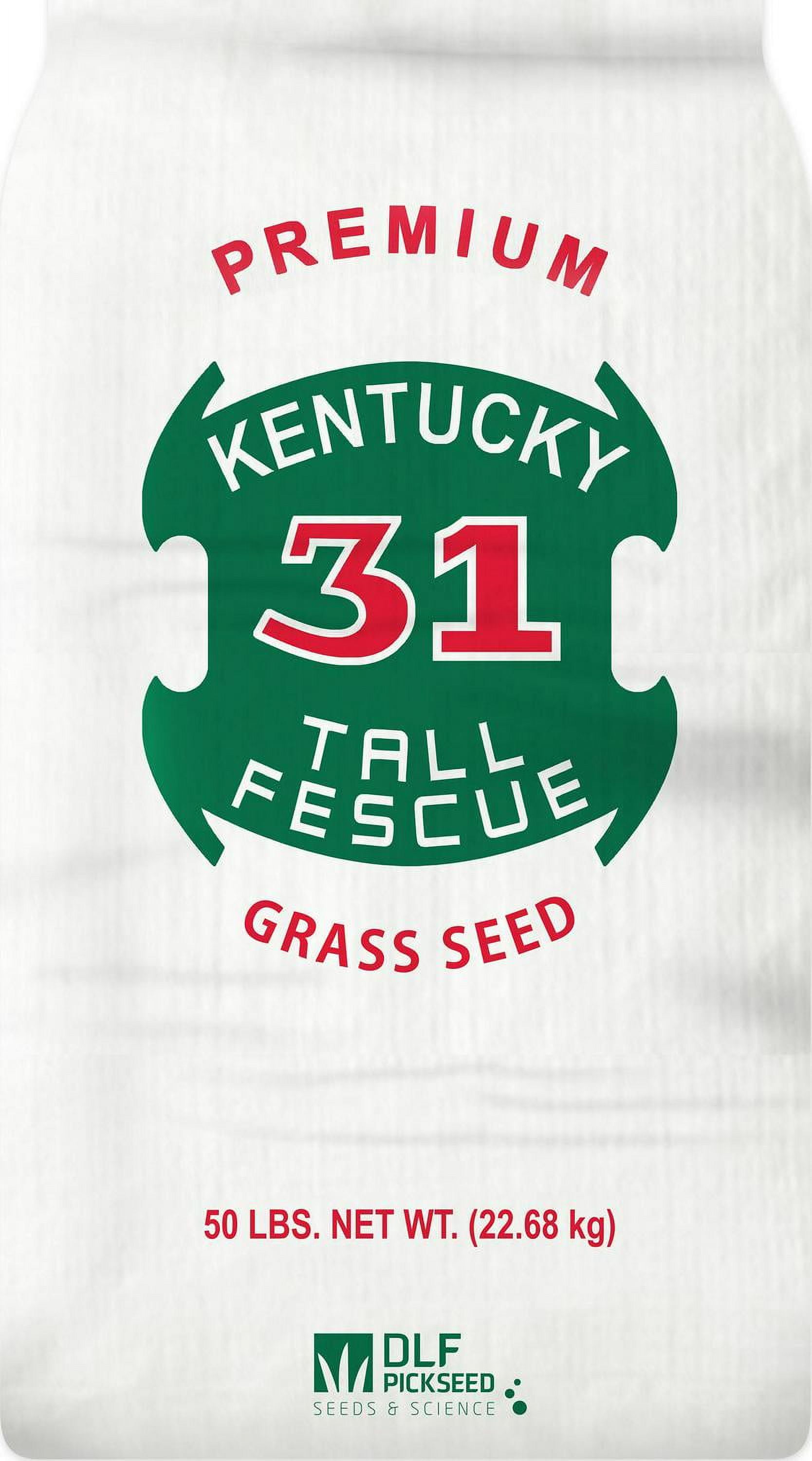 DLF 50 lb. Kentucky31 Tall Fescue Grass Seed