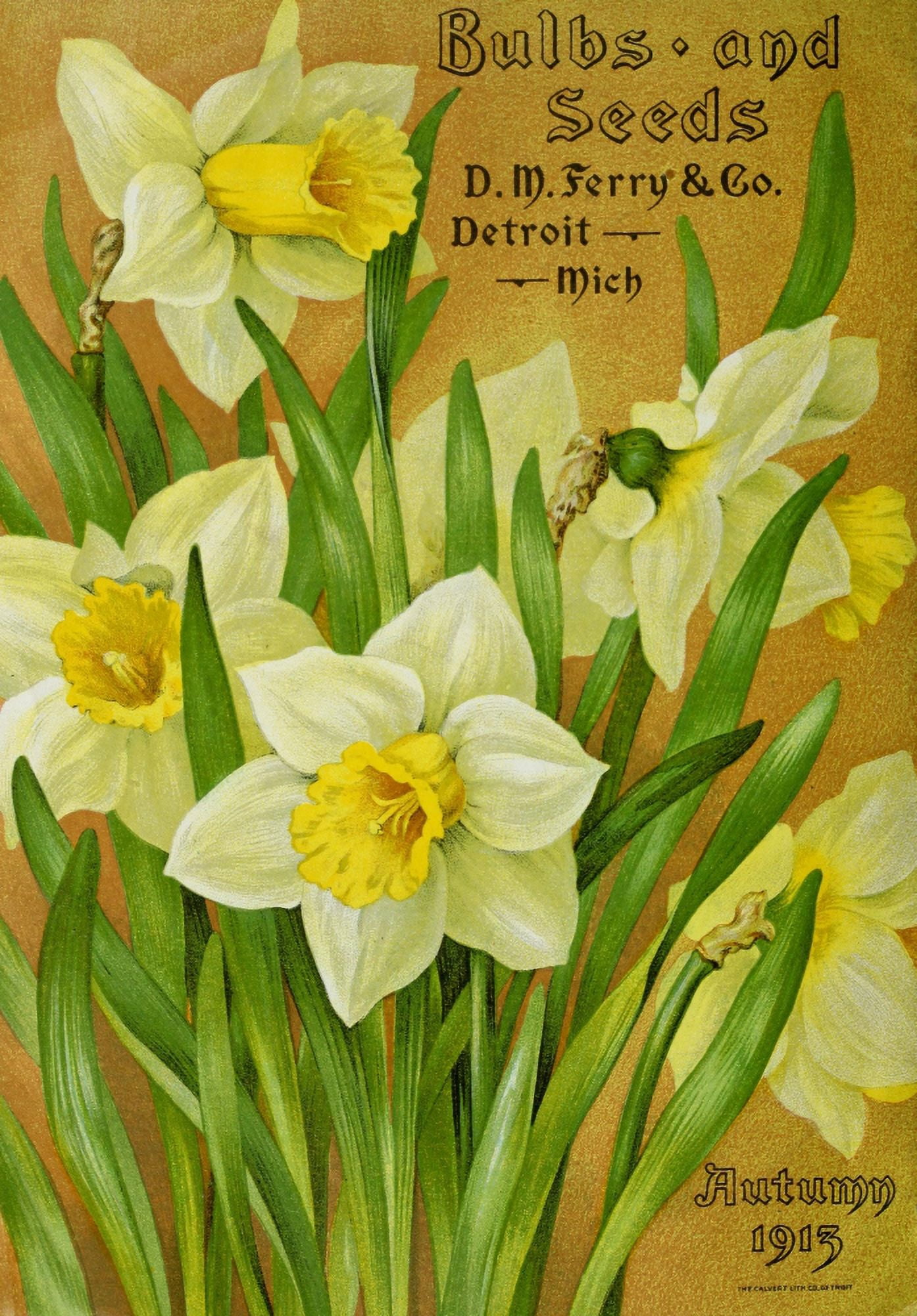 DM Ferry Bulbs & Seed Catalogue 1913 Daffodils Canvas Art - Unknown (24 x 36)
