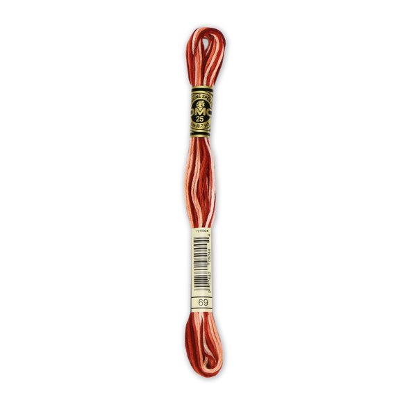 DMC 6-Strand Embroidery Cotton 8.7yd-Variegated Terra Cotta