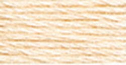 DMC 6-Strand Embroidery Cotton 8.7yd-Very Light Tawny