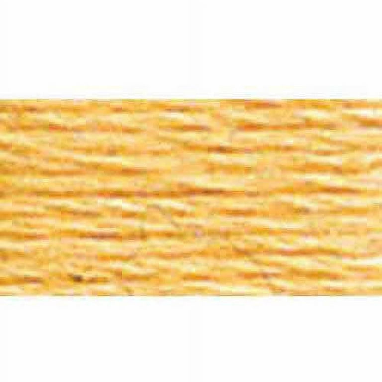 DMC 3855 Autumn Gold Light Embroidery Floss 2 Skeins 6 Strand 
