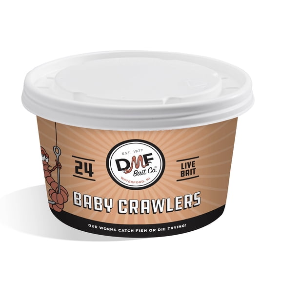 DMF Bait Co. Baby Crawlers, Live Fishing Bait, 24 Ct