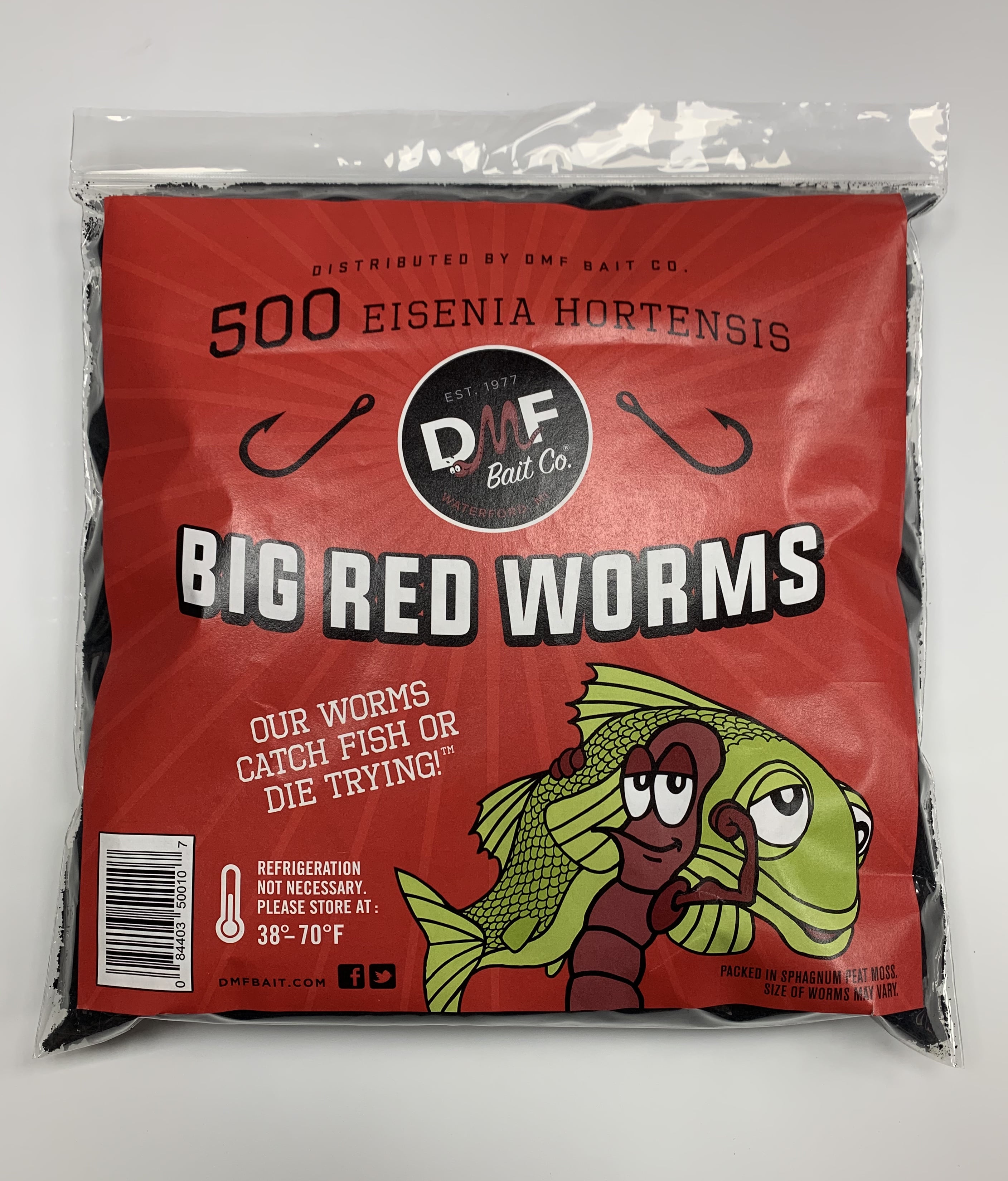DMF Bait Co. Live Red Worms in Reusable Cooler, 500 Ct 