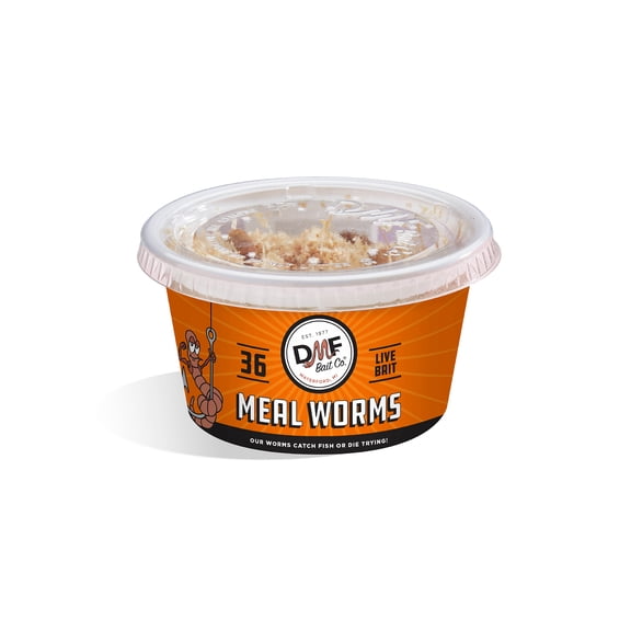 DMF Bait Co. Meal Worms, Live Fishing Bait, 36 Count