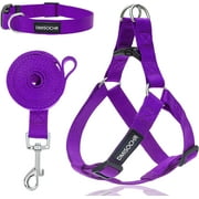 DMISOCHR Dog Harness and Leash Set with Collar - Step in No Pull Dog Harness