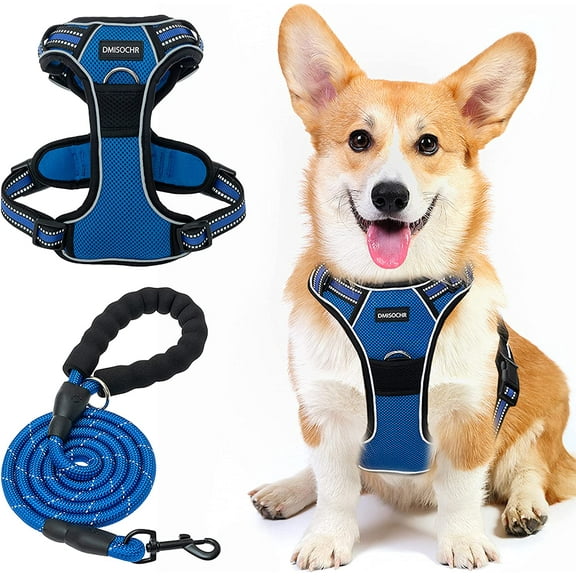 DMISOCHR No Pull Dog Harness and Leash Set Walking Breathable Mesh Large Dog Vest Harness Soft Padded
