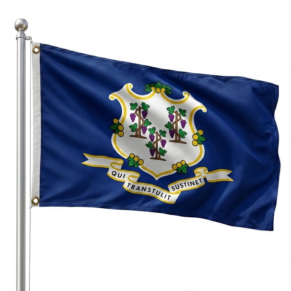 DMSE Connecticut State Flag, 2ft x 3ft, 100% Polyester 100D Flag UV Resistant