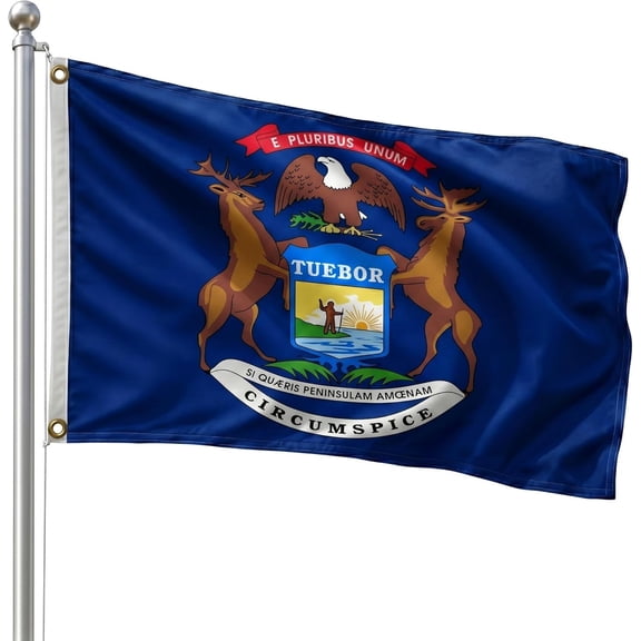 DMSE Montana State Flag, 3ft x 5ft, 100% Polyester 100D Flag UV Resistant