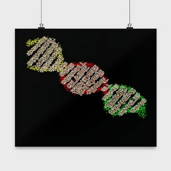 DNA Biology Chart - Science Students - 13x13 Poster Print - Classroom Decor