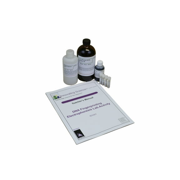 DNA Fingerprinting Electrophoresis Lab Activity - The Curated Chemical Collection by Innovating Science