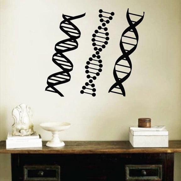 DNA Genealogy Wall Sticker Biology Chemistry Decal School Science Class Decoration Home Decor Bedroom Mural Poster 42x33cm