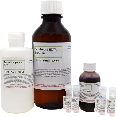 DNA Paternity Testing Electrophoresis Lab Activity - Materials For Up to 8 Student Groups - The Curated Chemical Collection by Innovating Science