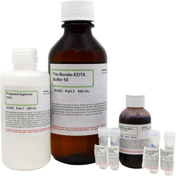 DNA Paternity Testing Electrophoresis Lab Activity - Materials for Up to 8 Student Groups - The Curated Chemical Collection by Innovating Science