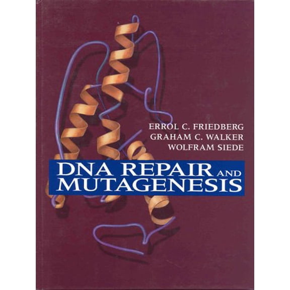 Pre-Owned DNA Repair and Mutagenesis (Hardcover) 1555810888 9781555810887