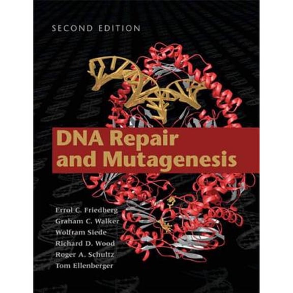 Pre-Owned DNA Repair and Mutagenesis (Hardcover) 1555813194 9781555813192