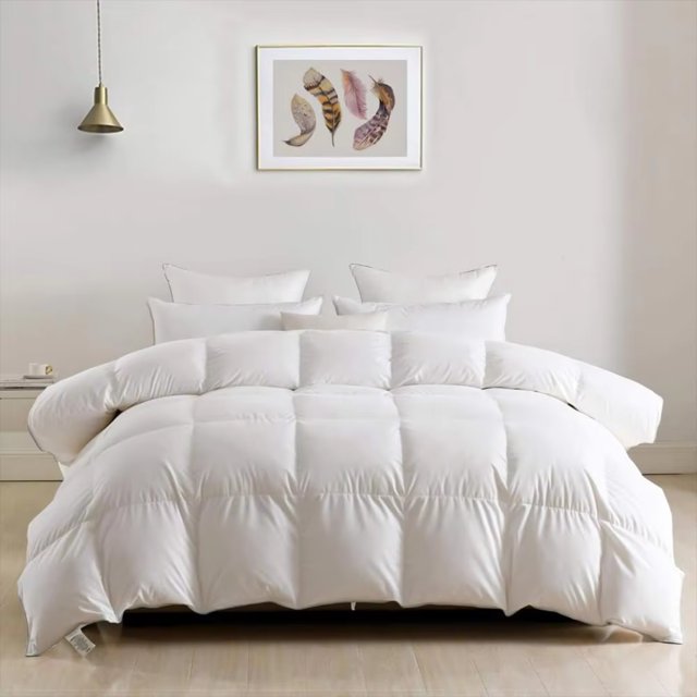 DNGZJAO Ultra Soft Lightweight Duvet Insert Cooling Thin Summer Down
