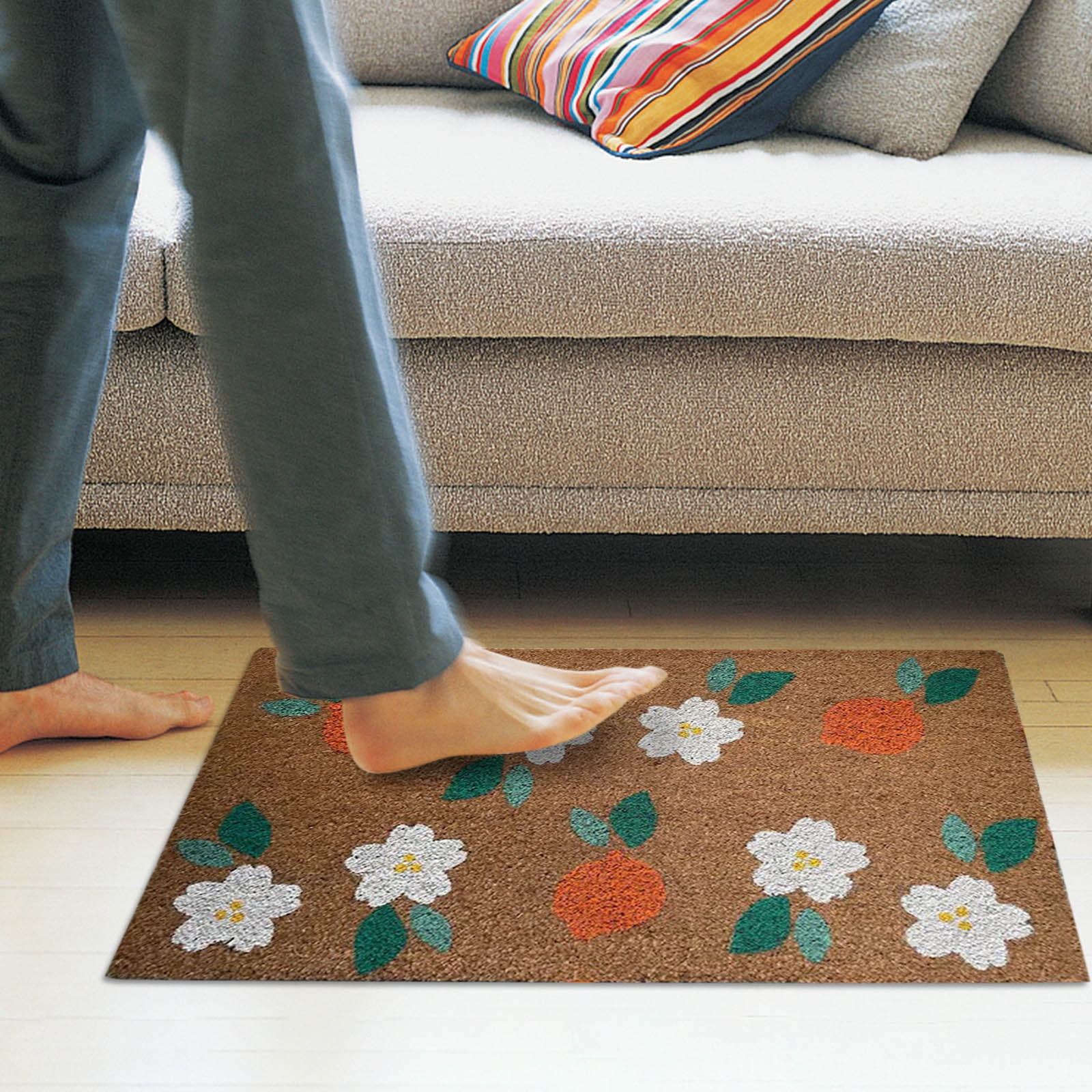 DNHAQB Decorative Front Door Mat, Cute Home Doormat Indoor