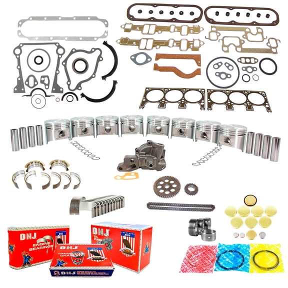 DNJ EK1112M Master Engine Rebuild Kit Fits Cars & Trucks 1990 Dodge D150 D250 Dakota W150 3.9L OHV V6 12V 239cid VIN X