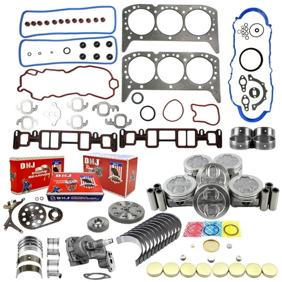 DNJ EK3129AM Master Engine Rebuild Kit Fits Cars & Trucks 1999-2006 Chevrolet GMC Isuzu Oldsmobile Blazer Express 1500-2500 Safari Savana 1500-2500 Sierra 1500 Silverado 1500 4.3L OHV VIN W VIN X
