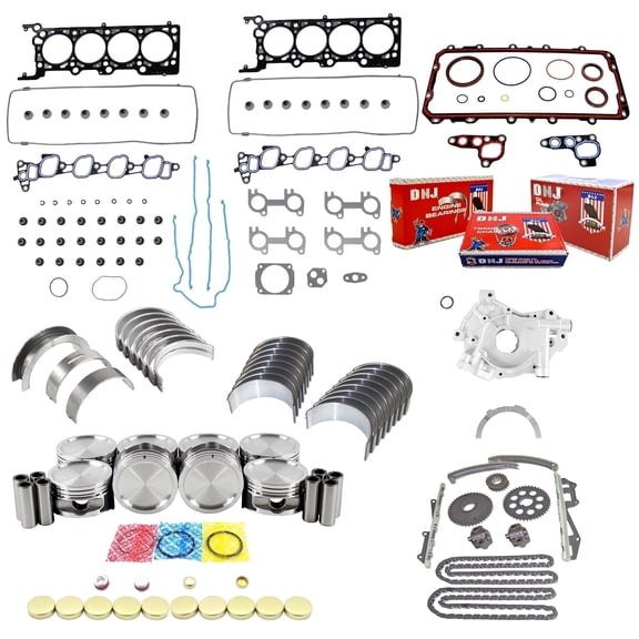 DNJ EK4153BM Master Engine Rebuild Kit Fits Cars & Trucks 2001 Ford Lincoln Mercury Crown Victoria Grand Marquis Town Car 4.6L SOHC V8 16V 281cid VIN W