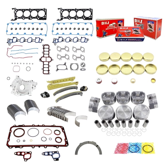 DNJ EK4155CM Master Engine Rebuild Kit Fits Cars & Trucks 2002-2003 Ford F-150 4.6L SOHC V8 16V 281cid VIN 6