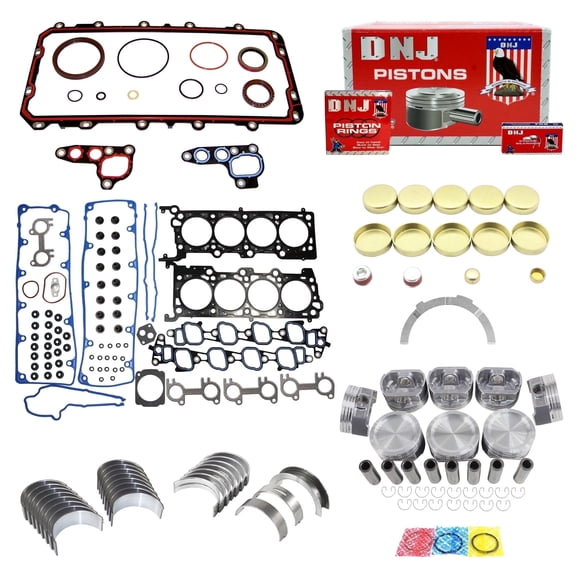 DNJ EK4156 Engine Rebuild Kit Fits Cars & Trucks 2002-2008 Ford Lincoln Mercury Crown Victoria Explorer Grand Marquis Mountaineer Town Car 4.6L SOHC V8 16V 281cid VIN V VIN W